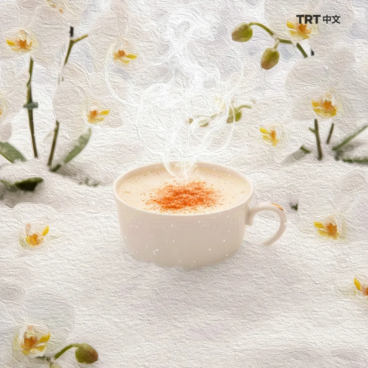 萨勒普：从奥斯曼帝国到现代的冬日故事