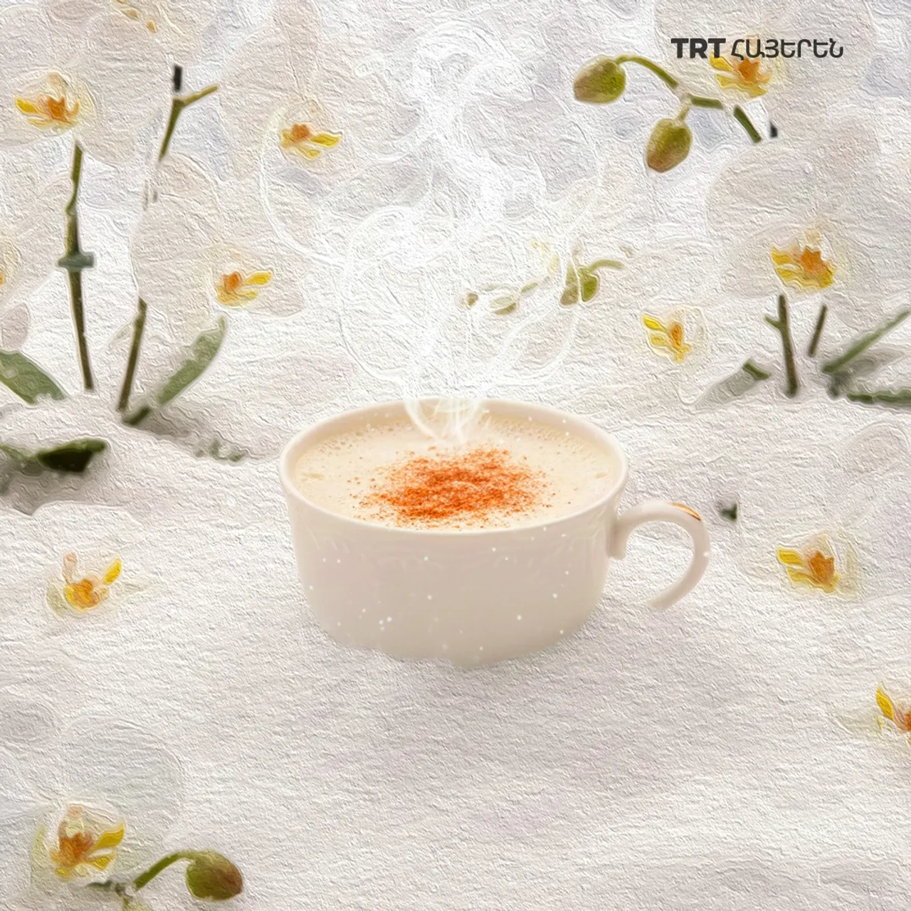 Սալեպ. Ձմեռային պատմություն Օսմանյան կայսրությունից մինչև մեր օրերը