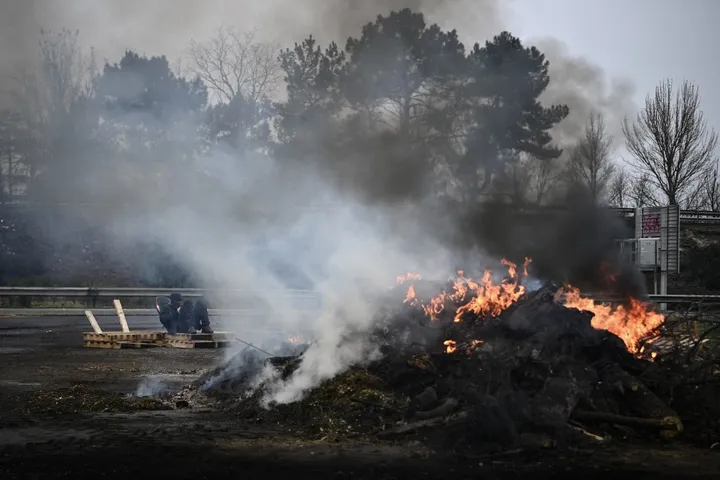 Dermatose nodulaire en France : la vaccination est accélérée, pas assez pour calmer les agriculteurs