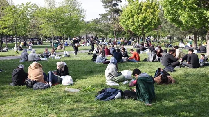 شش دانشگاه ترکیه در جمع ۱۰۰ دانشگاه سبز برتر جهان