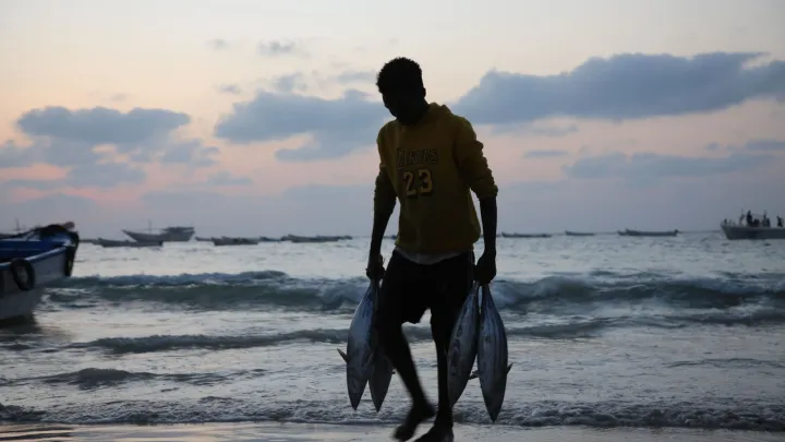 Törkiyä häm Somali balıqçılıqta xezmättäşlek başqaraçaq