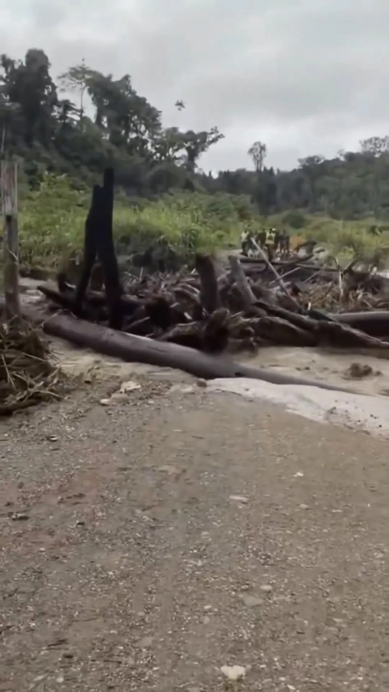 Arus kayu gelondongan di Sungai Pas sebabkan Jembatan Keerom putus