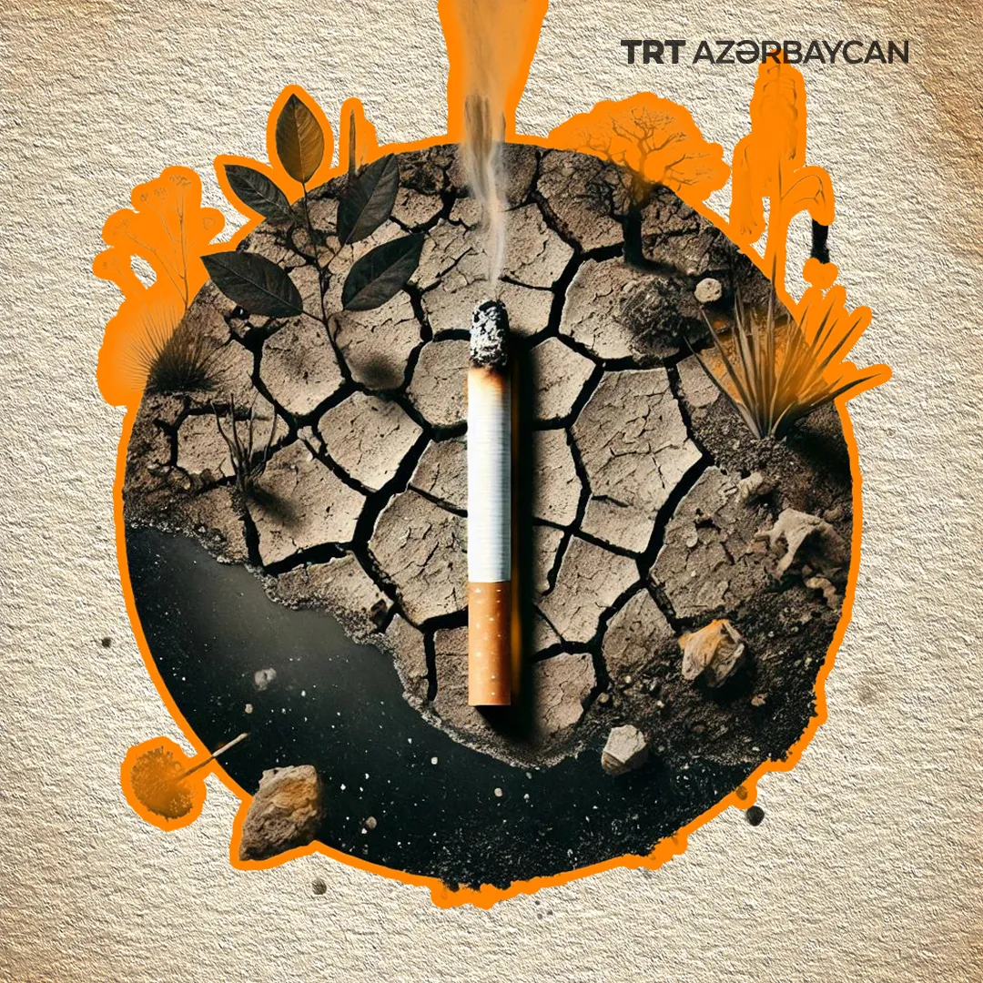 Siqaretin ətraf mühitə vurduğu zərər