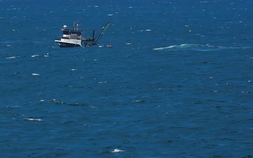 대한민국 서해안에서 어선 전복 사고 발생, 3명 실종