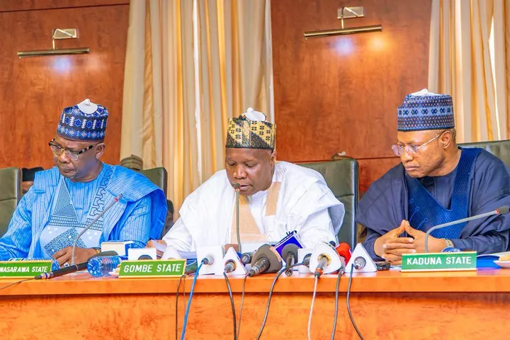 Gwamnonin arewacin Nijeriya na neman a dakatar da haƙar ma’adinai domin matsalar tsaro