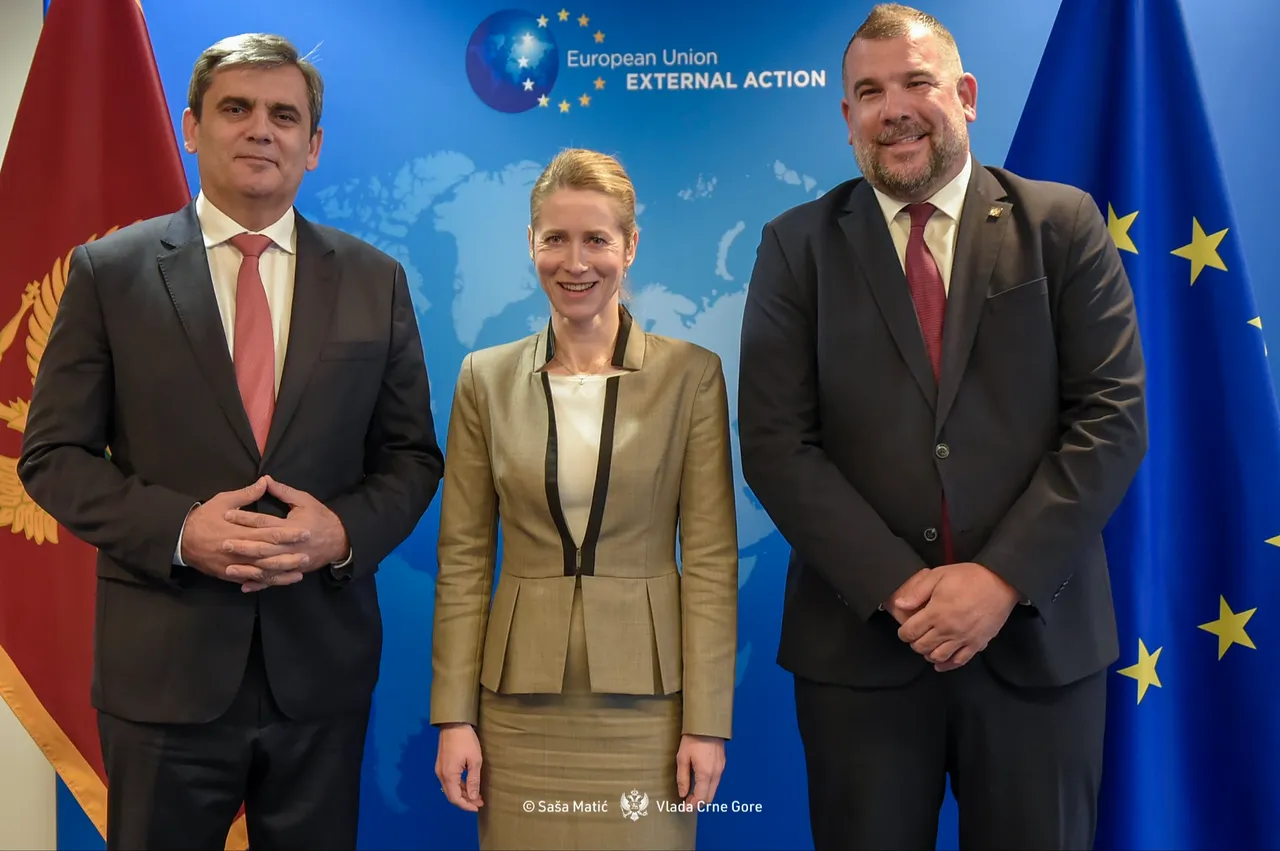 Crna Gora jača saradnju s EU u oblasti bezbjednosti i odbrane
