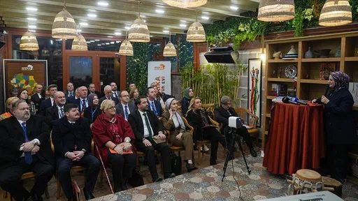 Türkiye's ambassadors to African countries visit African House