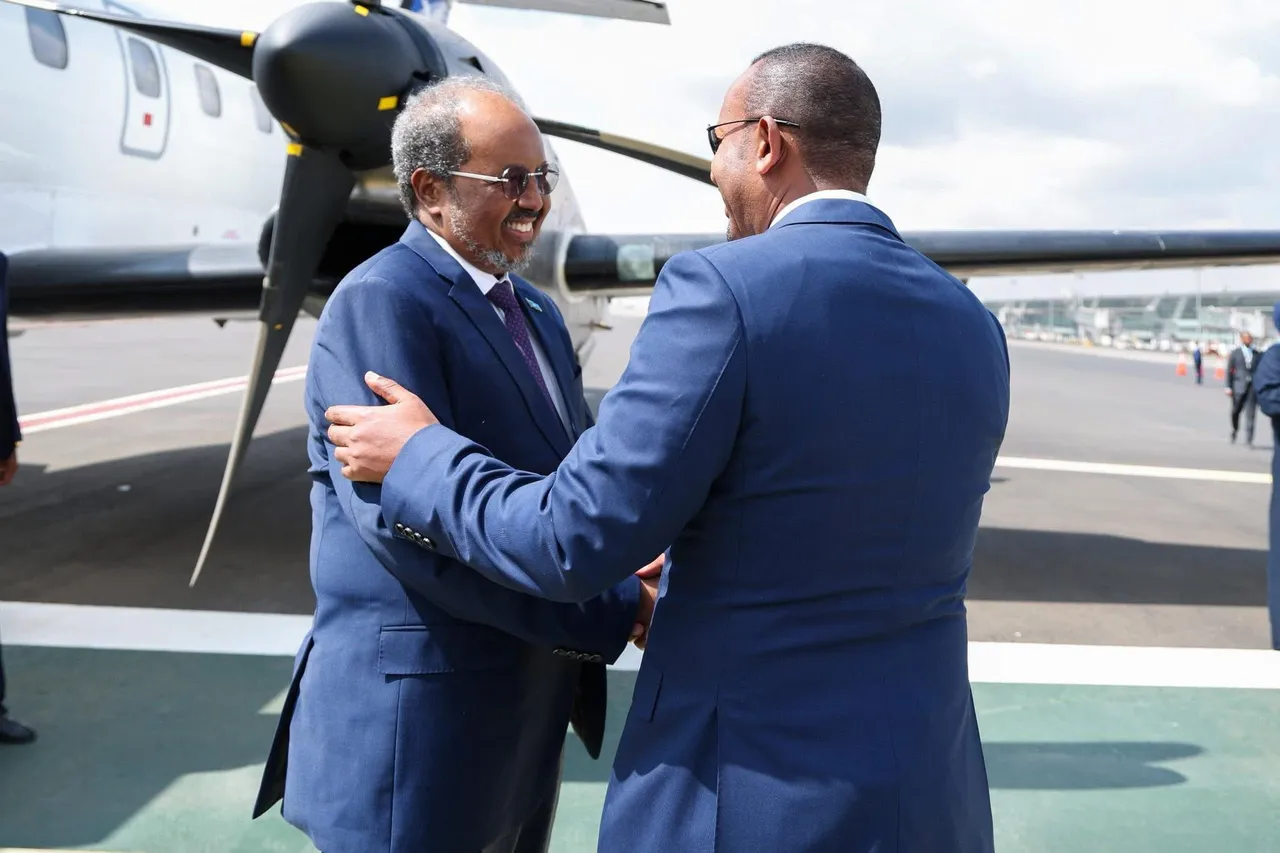 Somalia and Ethiopia leaders discuss ties on anniversary of Ankara Declaration