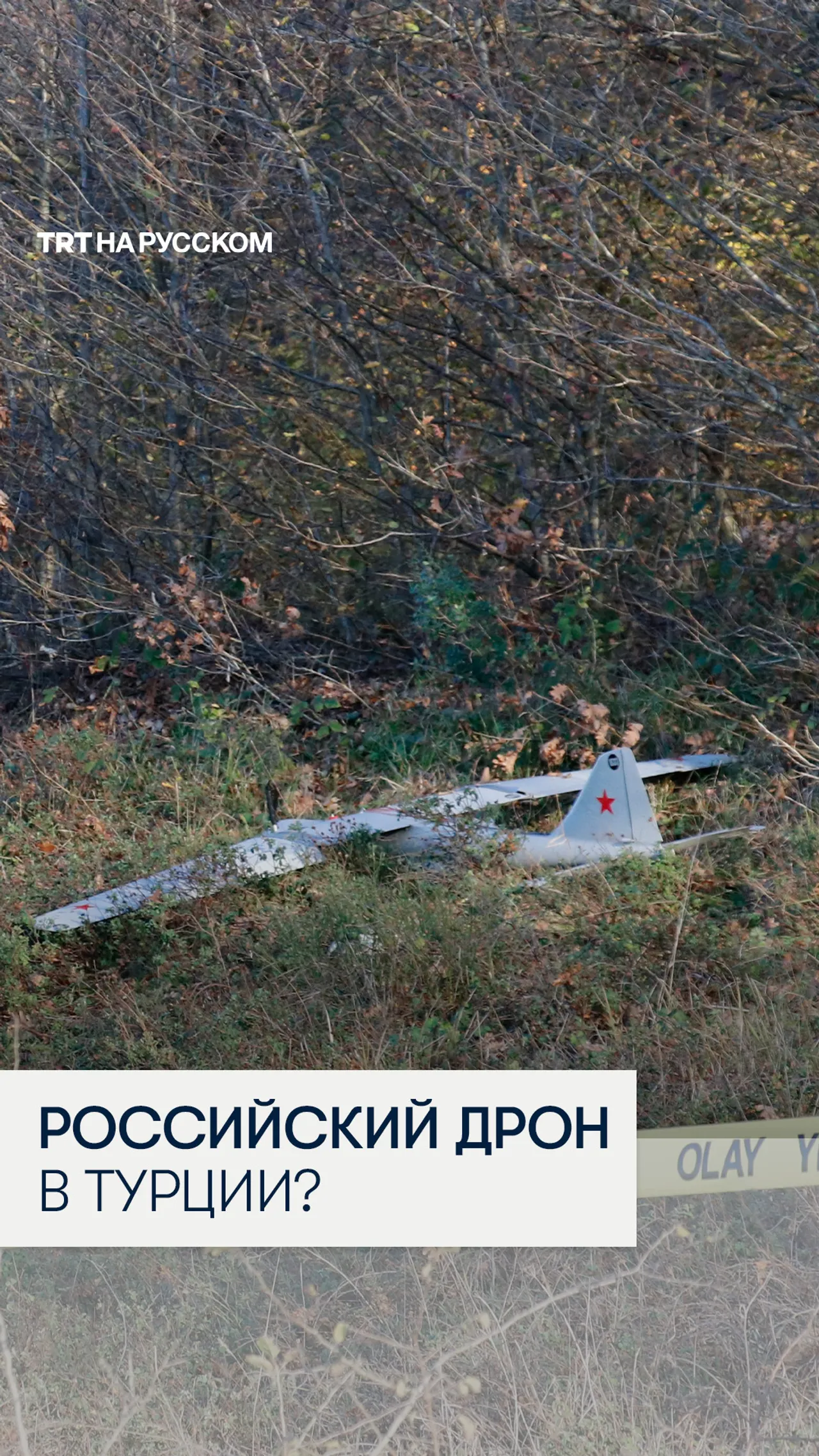 В Турции обнаружен разведывательный дрон, предположительно российского производства