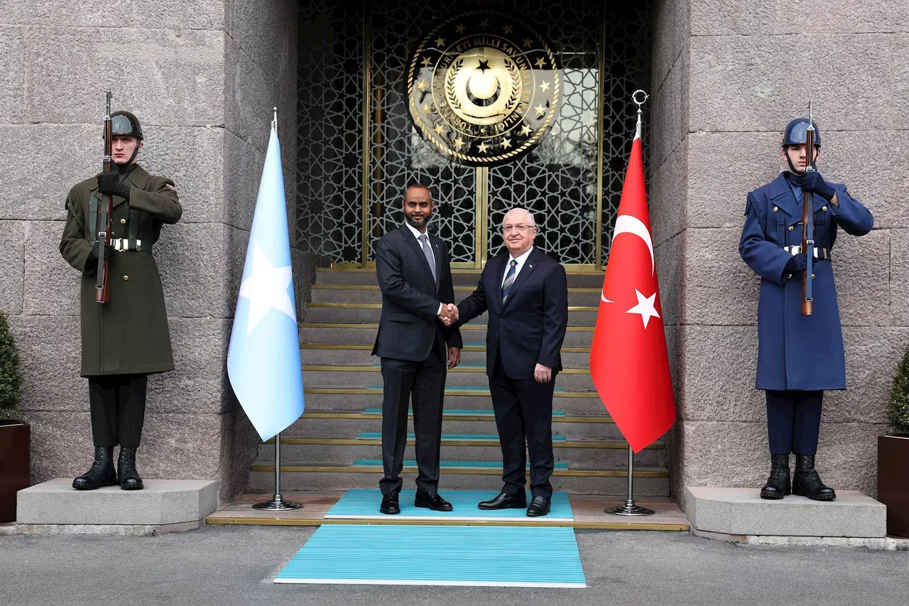 Türkiye vows stronger military cooperation with African countries