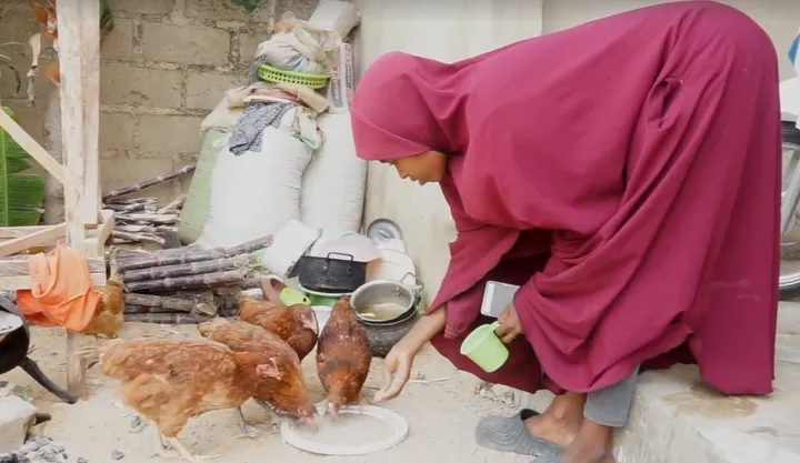 Masaki model: How Nigeria's Jigawa stemmed the malnutrition tide