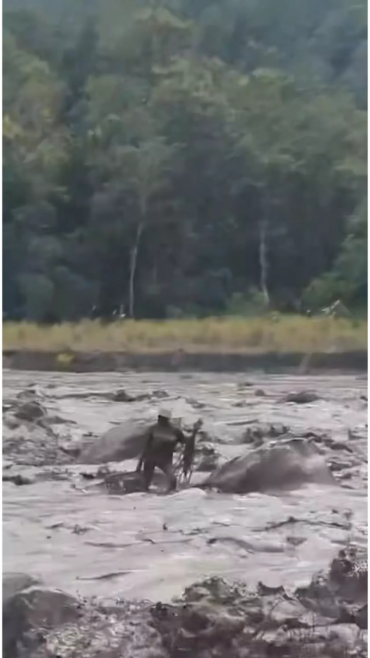 Banjir lahar Semeru penambang pasir terjebak