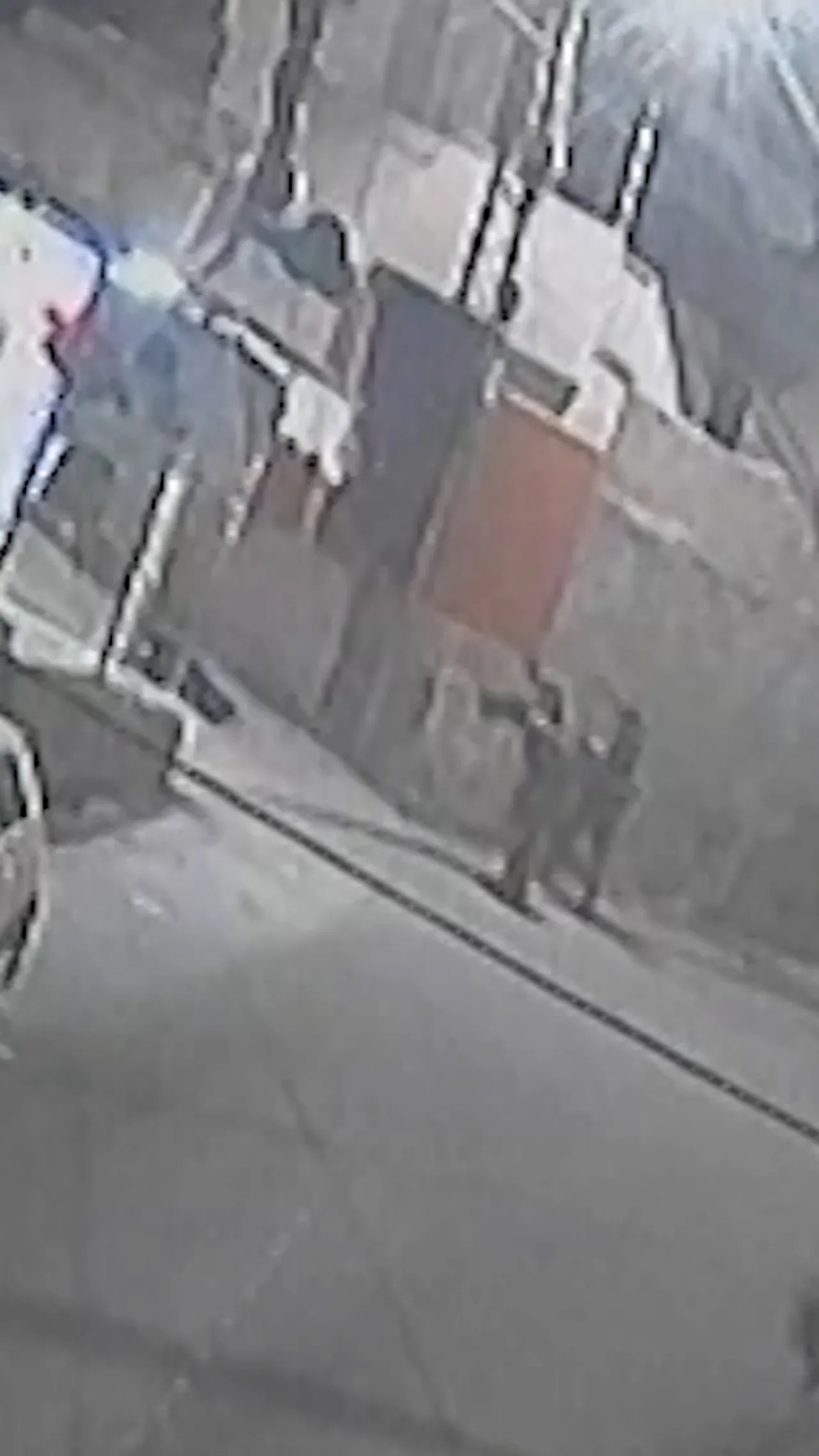 Remaja Palestina meninggal usai ditembak jarak dekat oleh tentara Israel