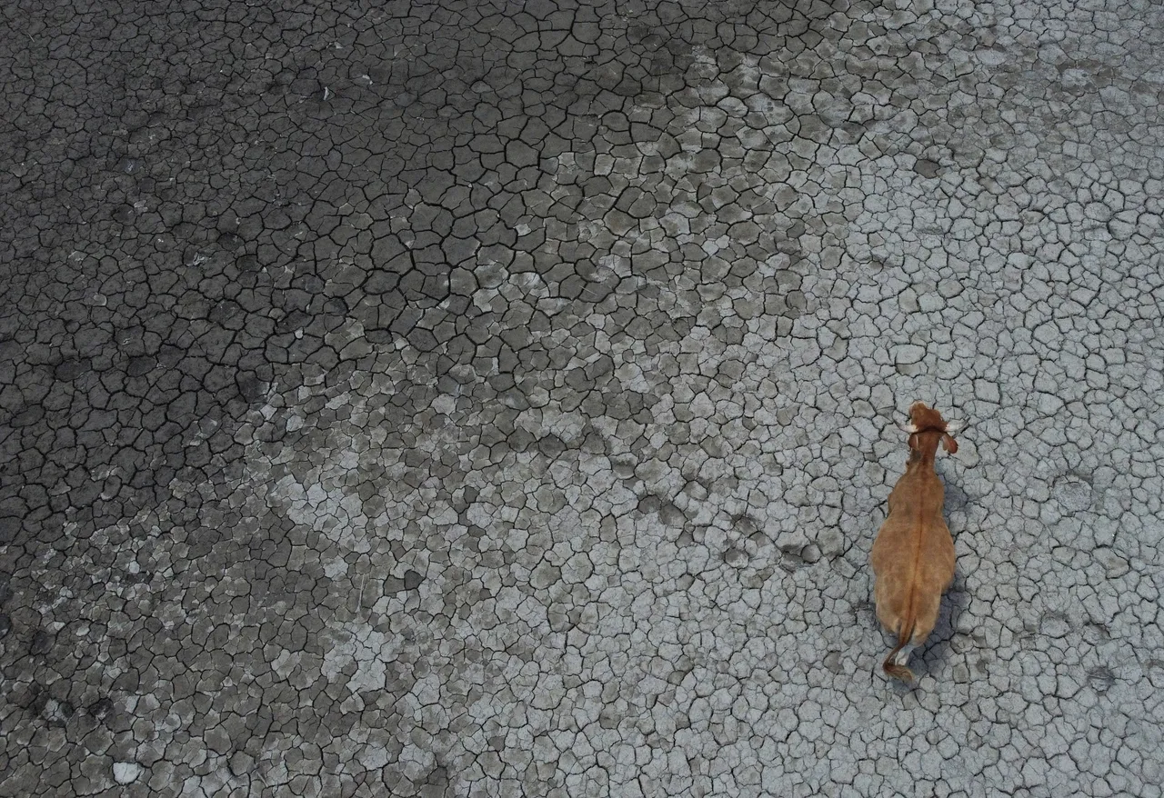 Water 'bankruptcy' puts billions of lives at risk: UN