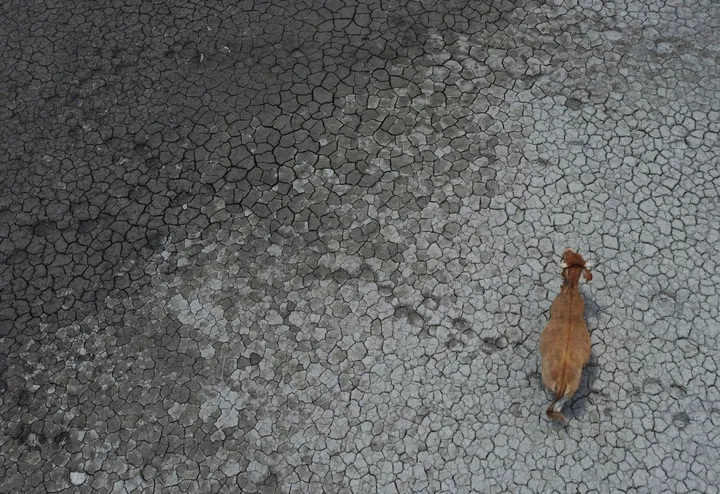 Water 'bankruptcy' puts billions of lives at risk: UN