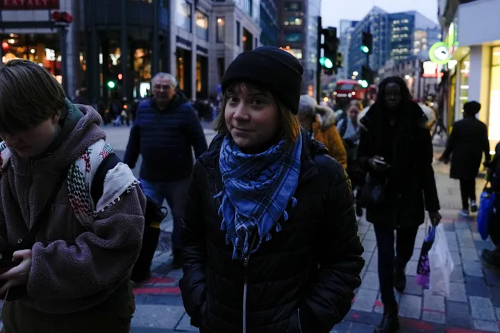 Грету Тунберг отпустили