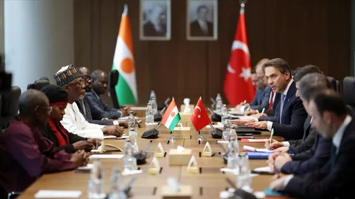 إسطنبول.. تركيا والنيجر تبحثان التعاون في مجال الطاقة