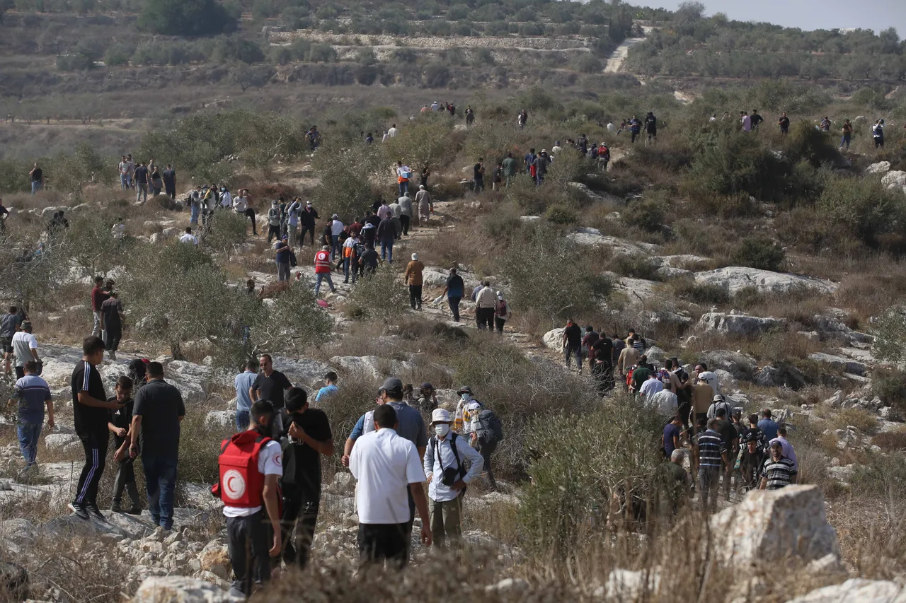 Deutschland und weitere Staaten verurteilen Israels Siedlungspläne