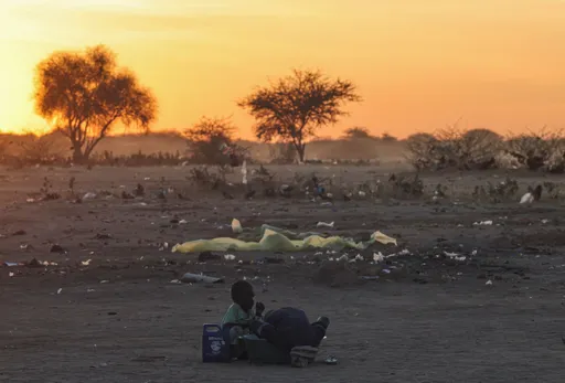 Women, children among over 200 Sudanese killed by RSF in Darfur: Medics