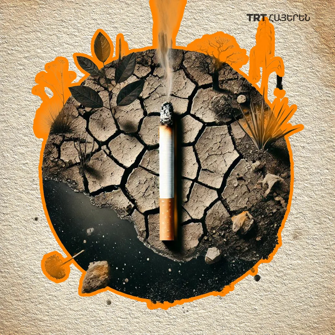 Անտեսանելի սպառնալիքը. Ծխելու շրջակա միջավայրի վրա ազդեցությունը