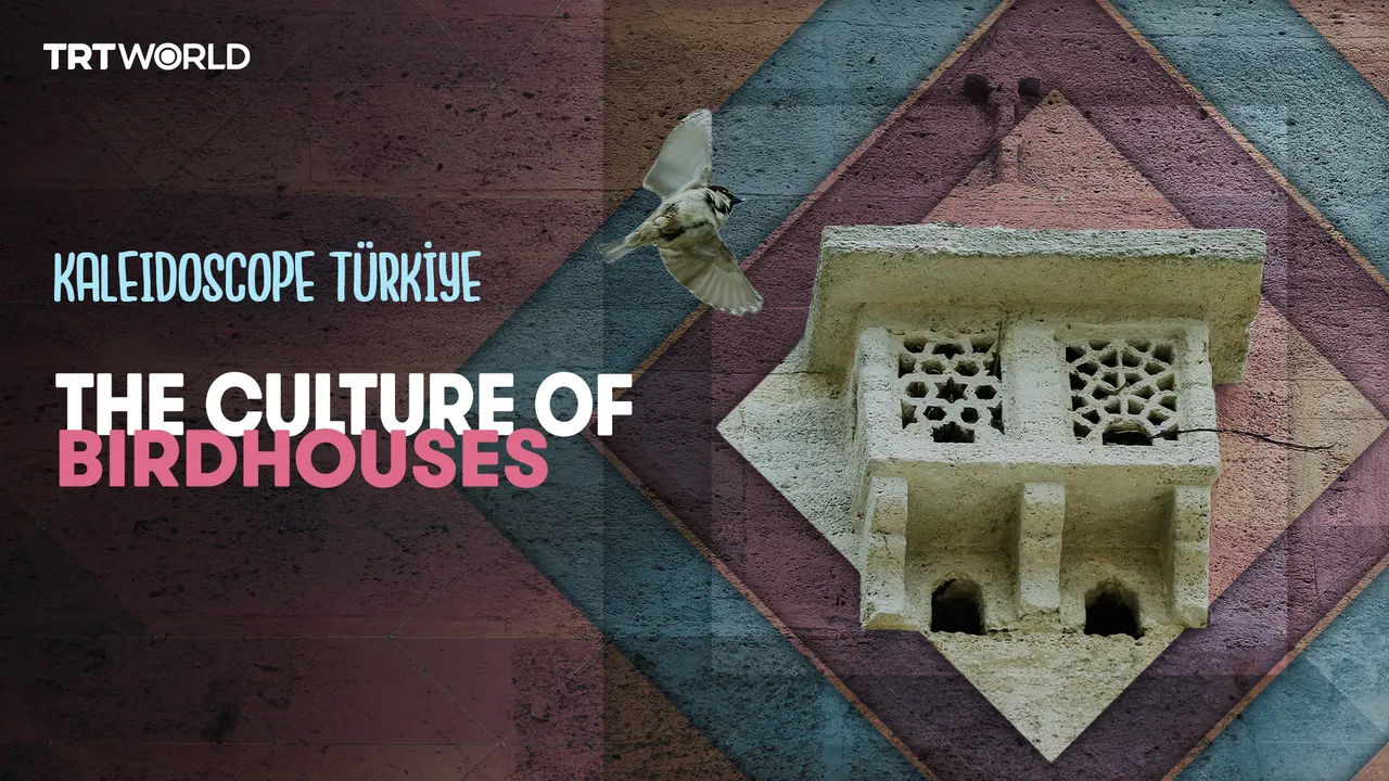 The local culture of bird palaces in Uskudar | Kaleidoscope Türkiye - Episode 3