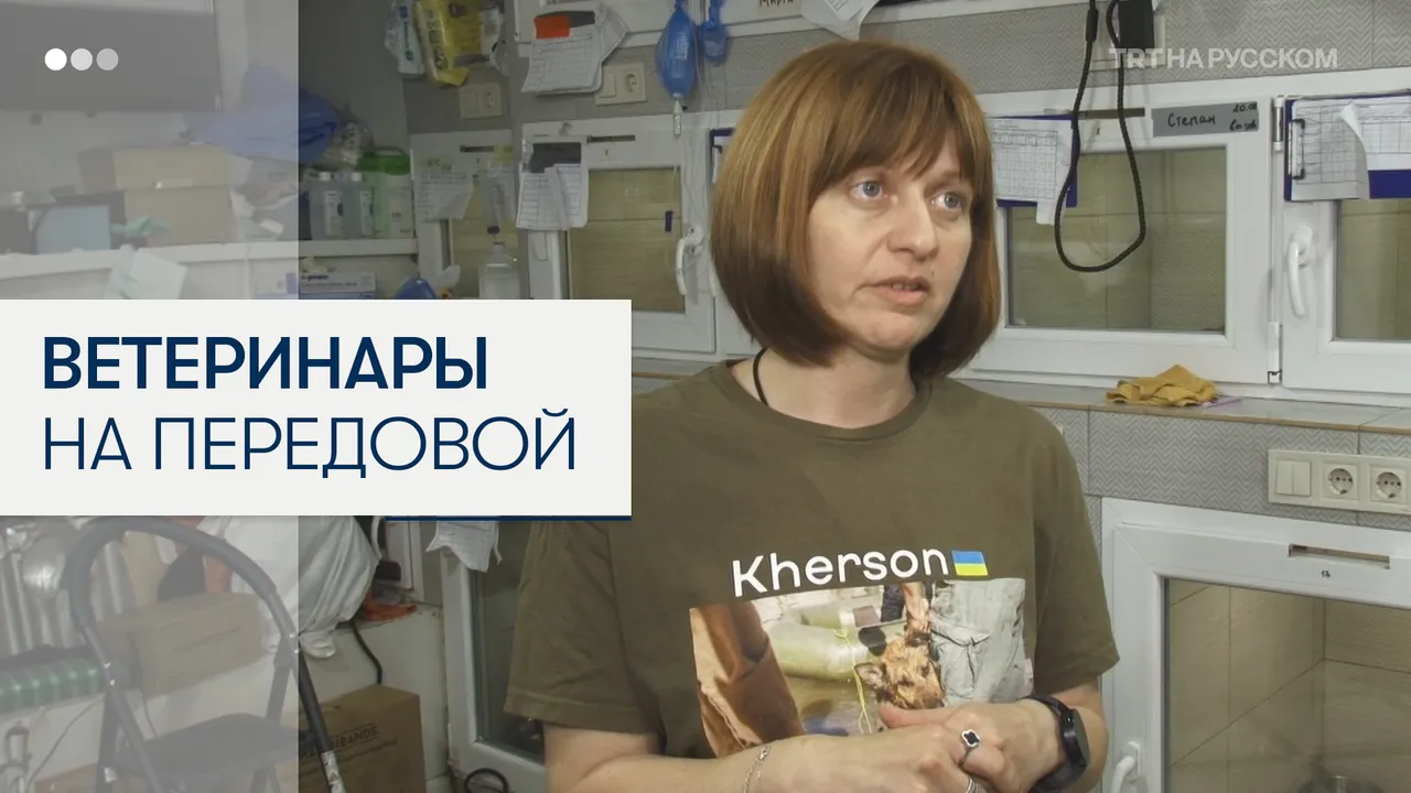 Как украинские волонтеры спасают животных с передовой