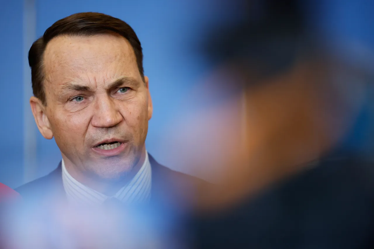 Sikorski o kondycji rosyjskich sił zbrojnych i polityce bezpieczeństwa USA