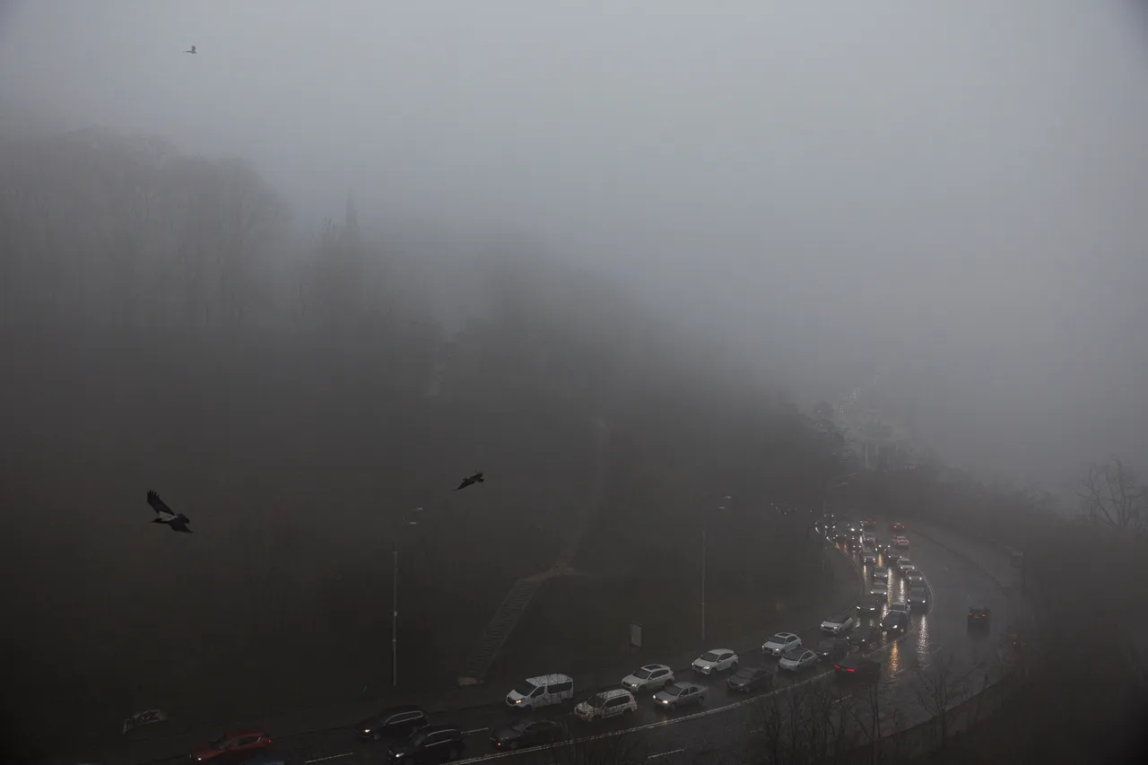 Nederlands parlement verzet zich tegen EU-verbod op nieuwe auto's op fossiele brandstoffen in 2035