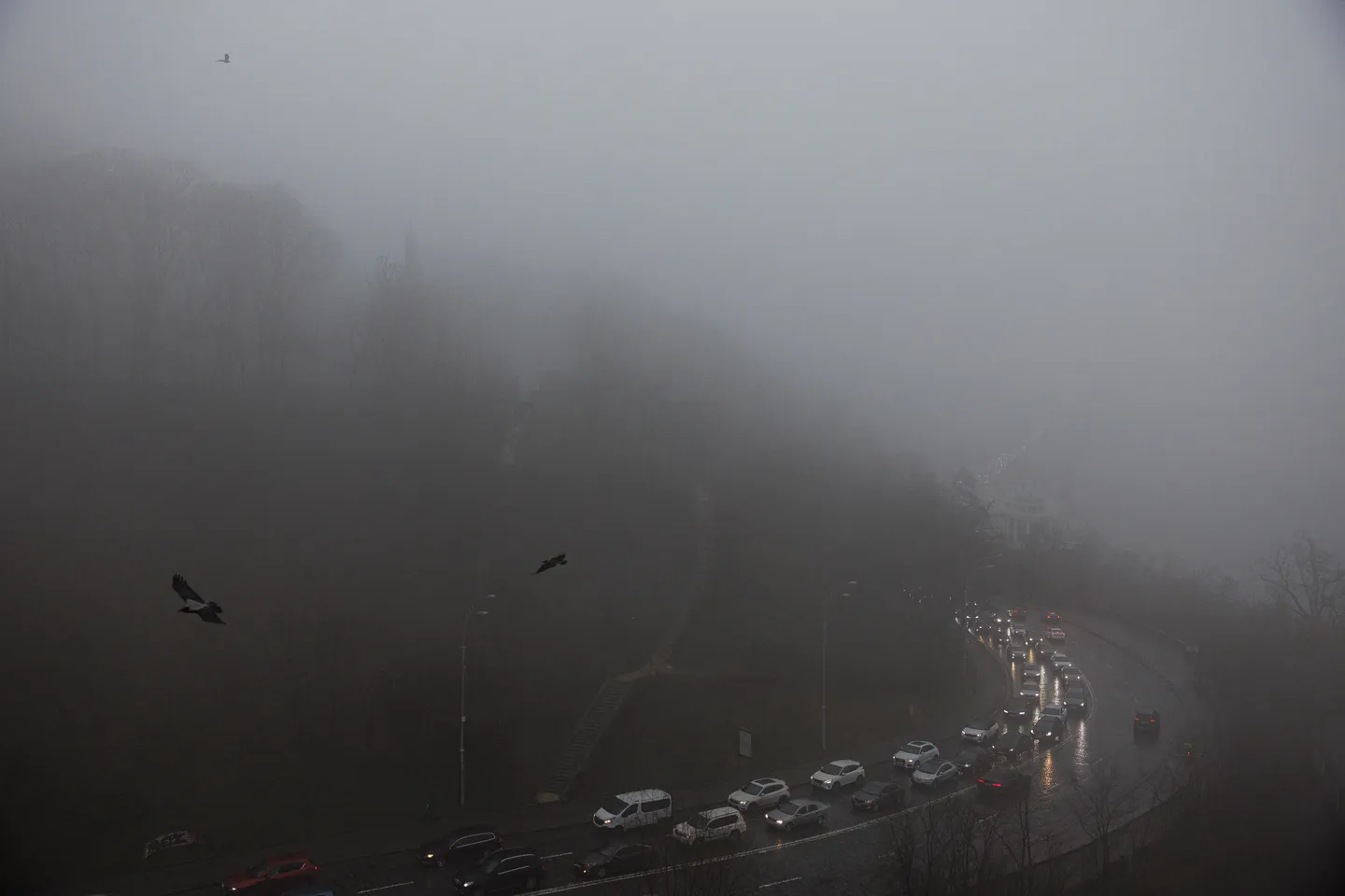 Nederlands parlement verzet zich tegen EU-verbod op nieuwe auto's op fossiele brandstoffen in 2035