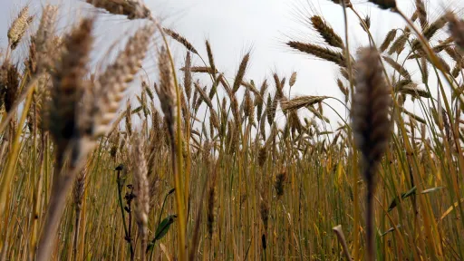 هشدار سازمان محیط زیست ایران درباره فرسایش ۱۶ تا ۲۵ تنی در هر هکتار خاک