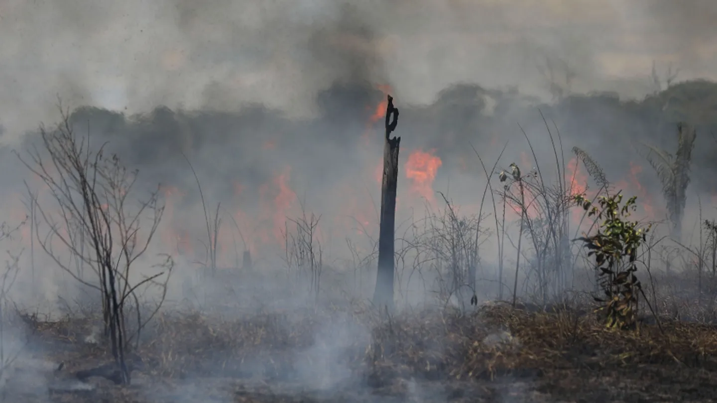 معاون محیط زیست ایران از وقوع سالانه ۱۸ هزار آتش‌سوزی در این کشور خبر داد