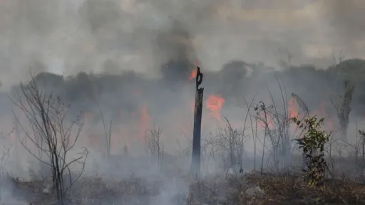 معاون محیط زیست ایران از وقوع سالانه ۱۸ هزار آتش‌سوزی در این کشور خبر داد