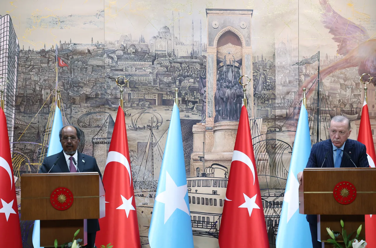 Türkiye Somali bilen energiýa we howpsuzlyk babatda hyzmatdaşlyk eder