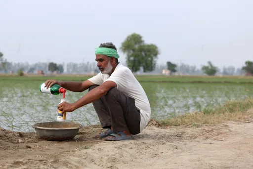 Wojna na Bliskim Wschodzie uderza w globalne dostawy nawozów i może zagrozić produkcji żywności