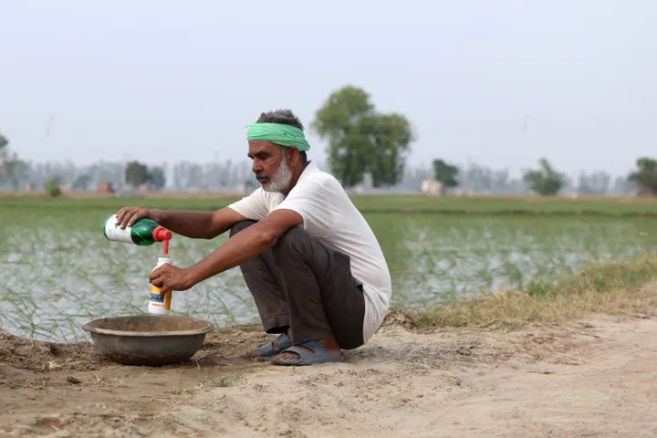 Wojna na Bliskim Wschodzie uderza w globalne dostawy nawozów i może zagrozić produkcji żywności