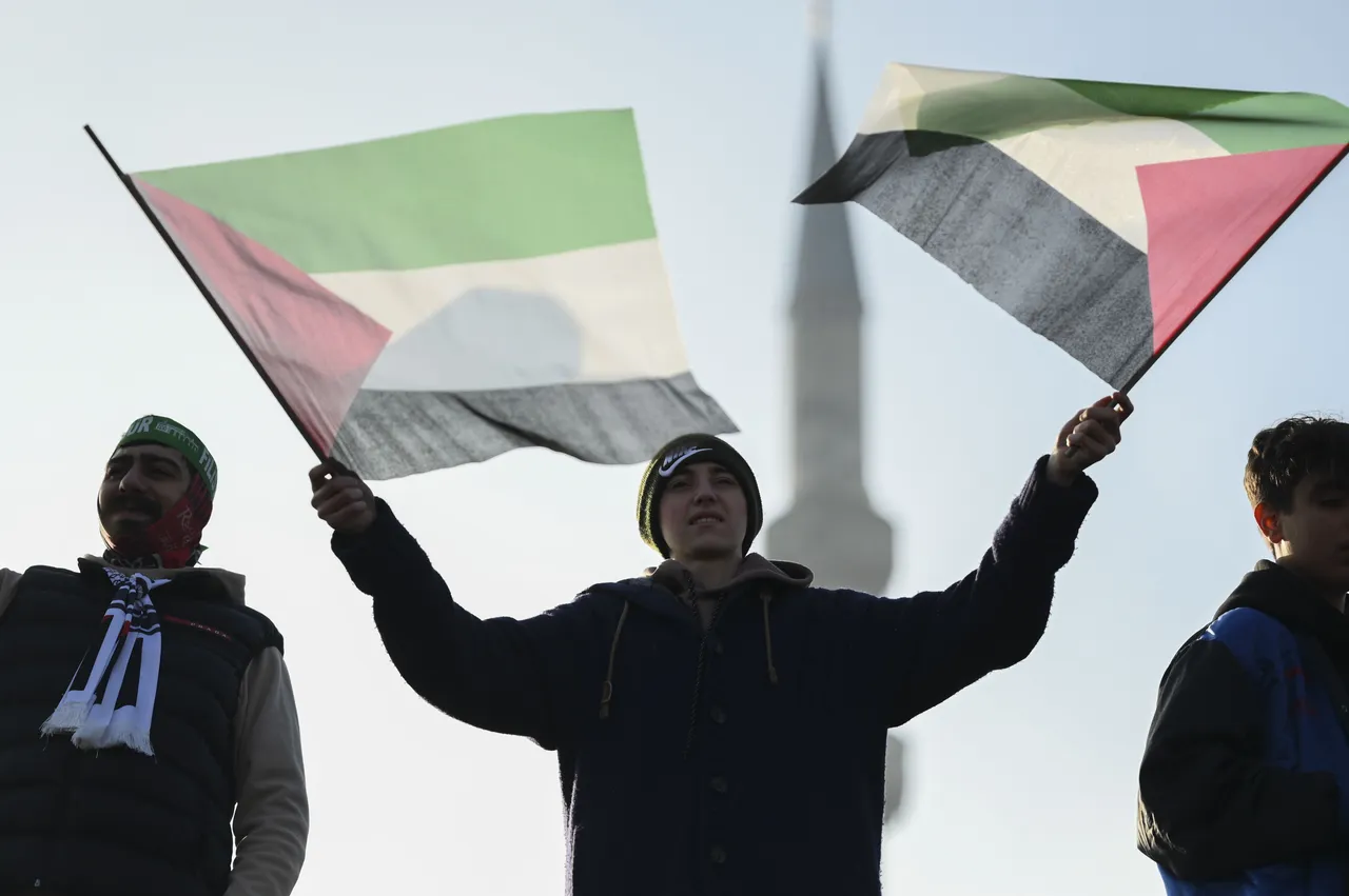 'Palestine won't be forgotten'  — Gaza rally planned in Istanbul on January 1