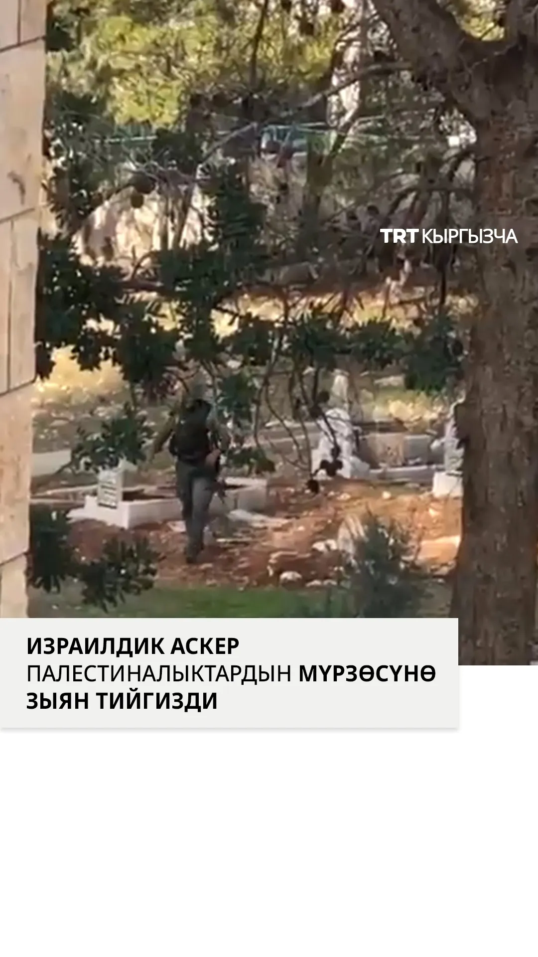 Израилдик аскер палестиналыктардын мүрзөсүн кордоп жатат