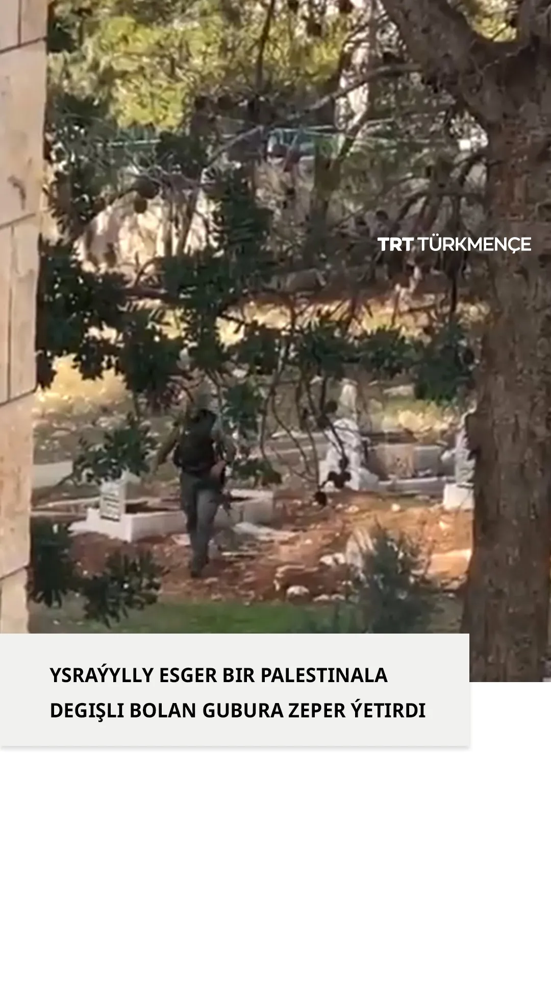 YSRAÝYLLY ESGER BIR PALESTINALA DEGIŞLI BOLAN GUBURA ZEPER ÝETIRDI