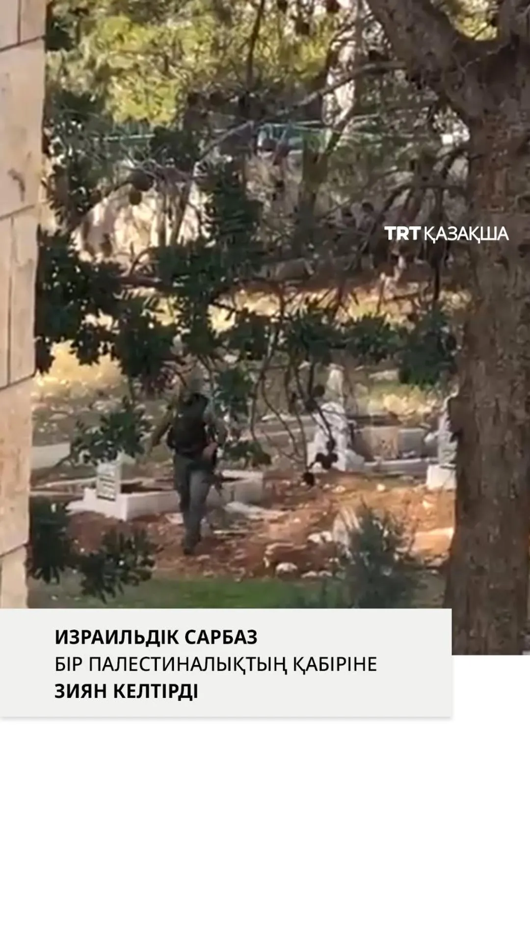 Палестиналықтың қабіріне зиян келтірді