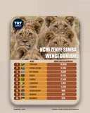 Infografiki: Nchi zenye simba wengi duniani