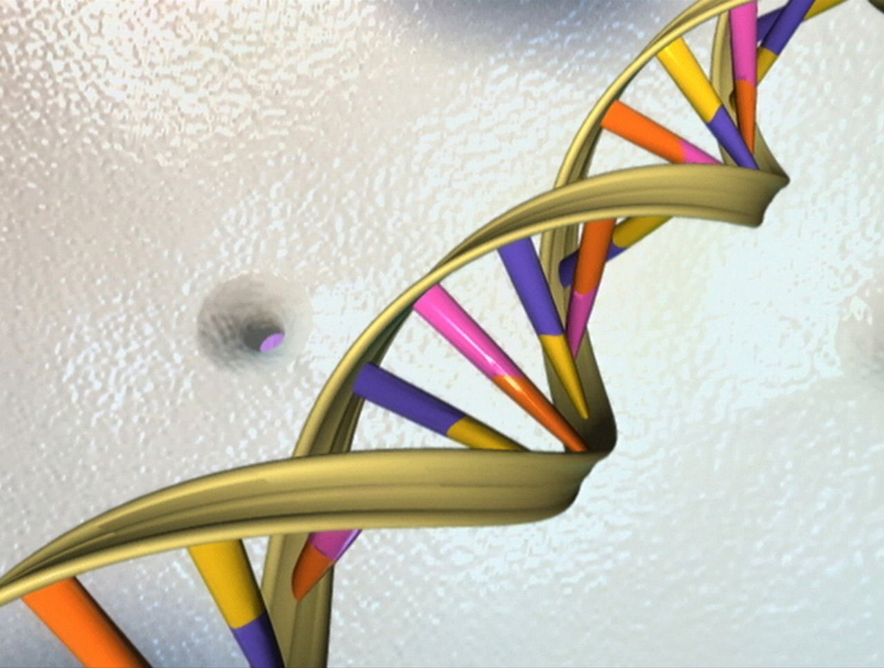 Global study reveals deep Eurocentric bias in human gene maps - TRT World