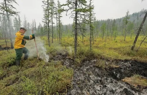 Россия разрешит сплошные вырубки лесов на Байкале?