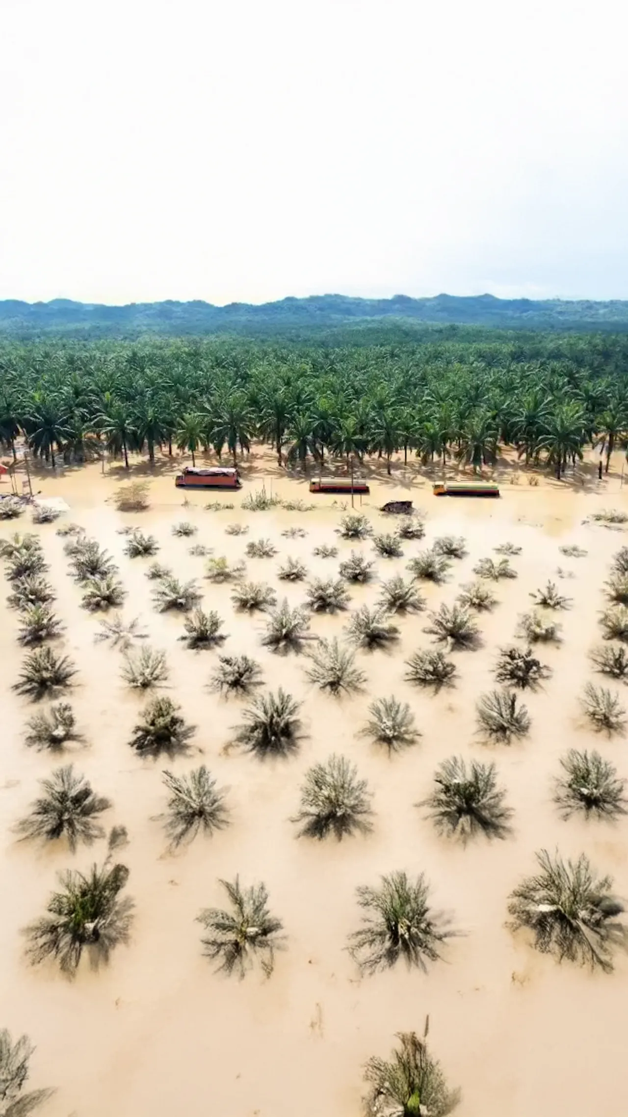 Jalur darat mulai terbuka, bantuan kritis mulai disalurkan di Aceh Tamiang