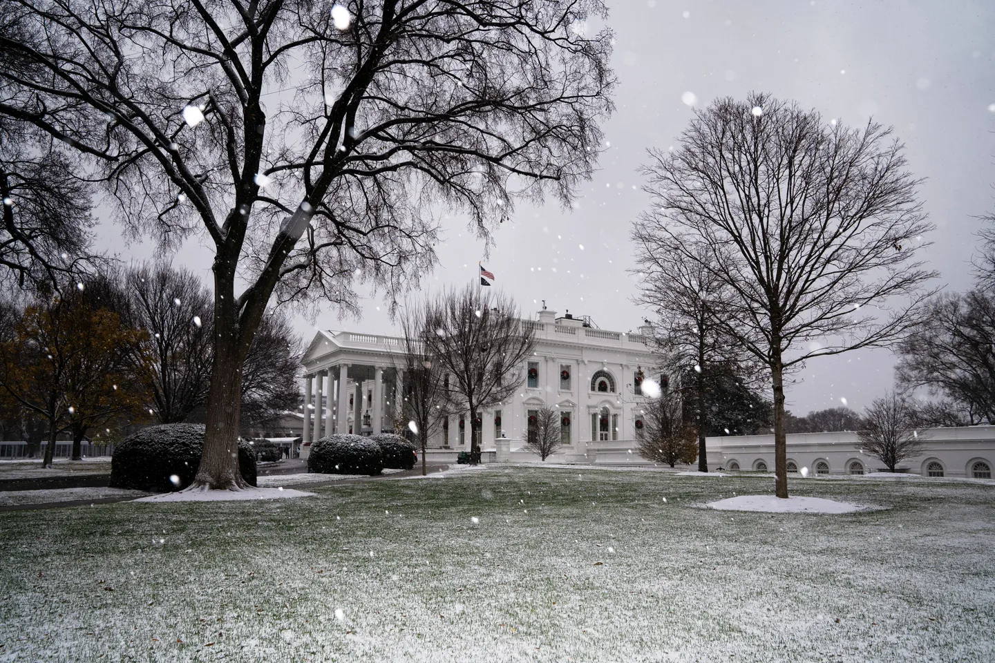 آمریکا مظنون بمب‌گذاری‌های واشنگتن را پس از پنج سال تحقیق بازداشت کرد