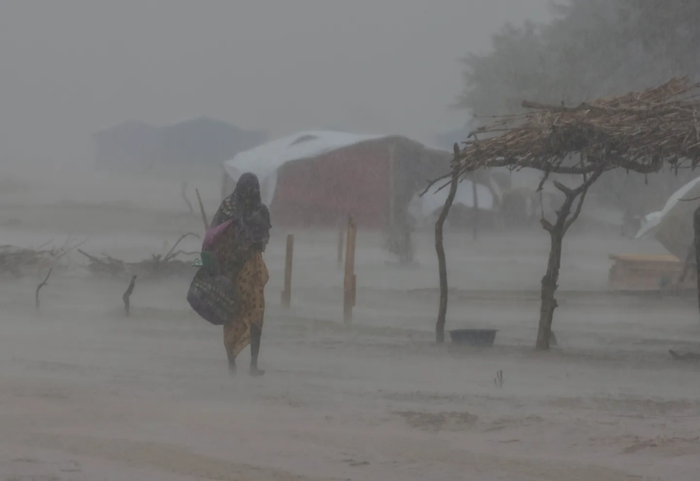 Pregnant Sudanese women among victims of RSF sexual assault while fleeing Al Fasher: doctors network