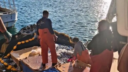 Jadran zatrpan plastikom: Ribari bez infrastrukture za zbrinjavanje otpada