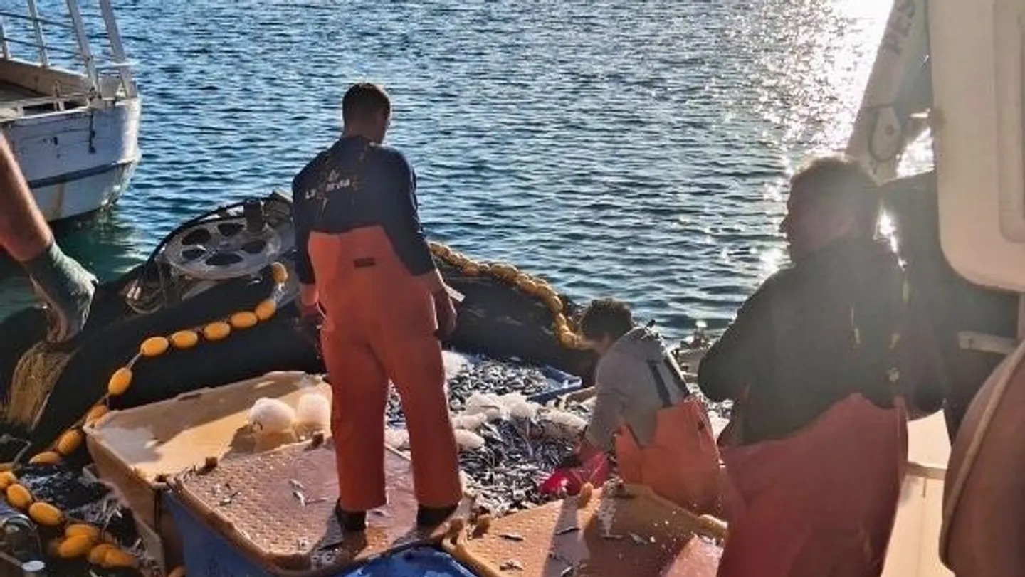 Jadran zatrpan plastikom: Ribari bez infrastrukture za zbrinjavanje otpada