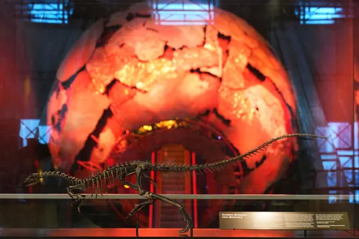 France returns looted dinosaur skeleton to Mongolia after nearly a decade