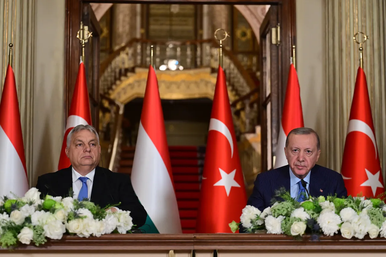 Türkiye and Hungary sign security, culture deals to deepen strategic partnership
