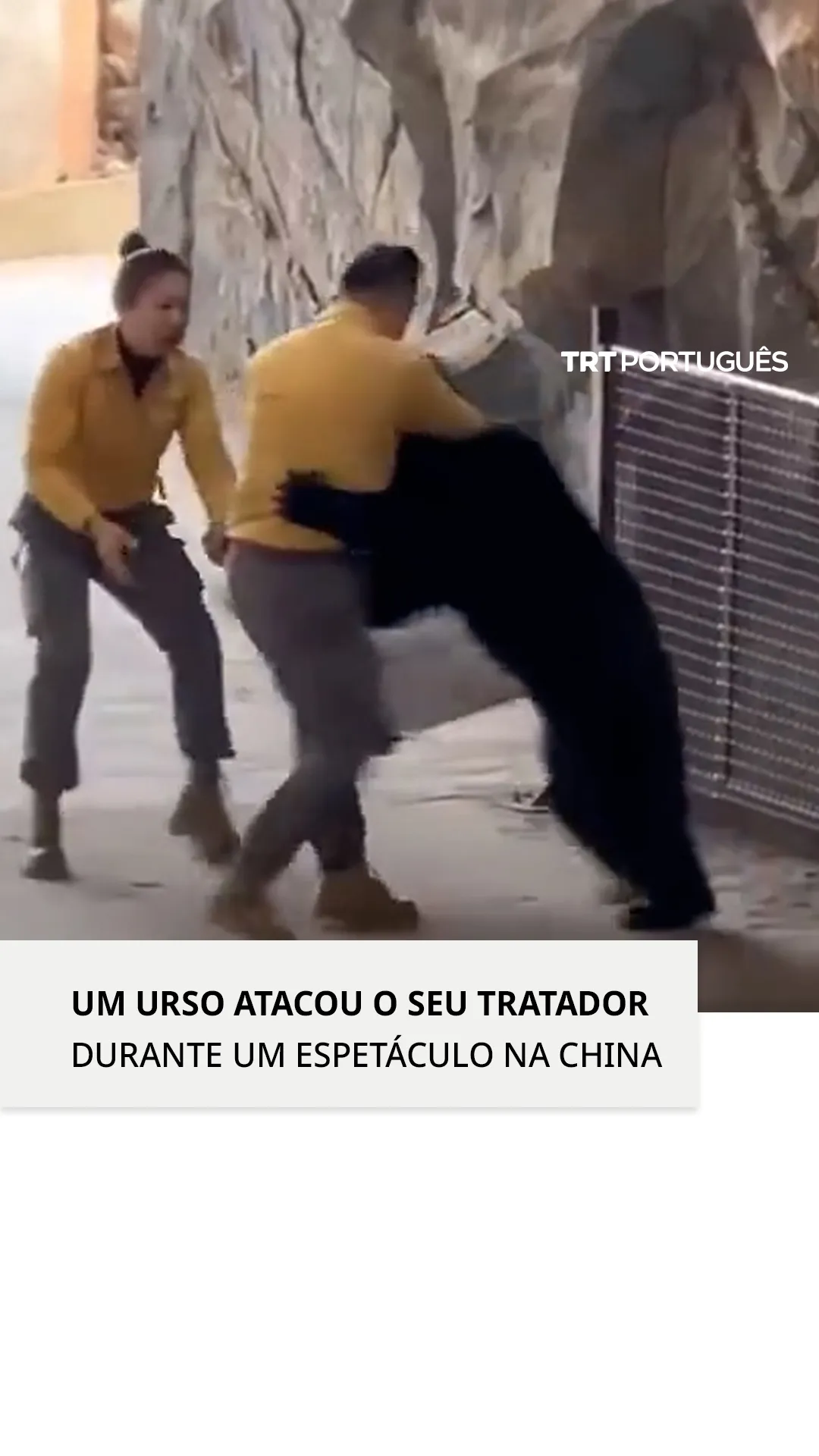 Um urso atacou o seu tratador durante um espetáculo na China.